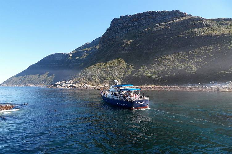 05-hout bay_020